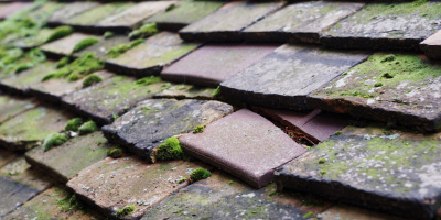 St Nicholas roof repair costs